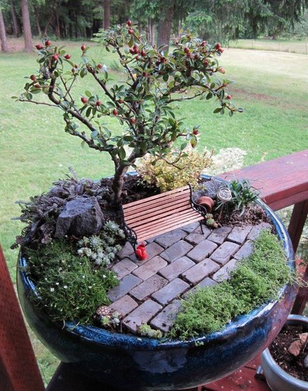 Fotos de mini jardines con bonsai