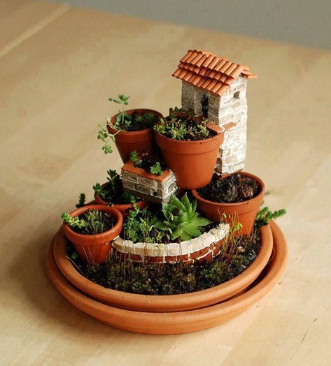 Fotos de mini jardines con macetas de distintos tamaños