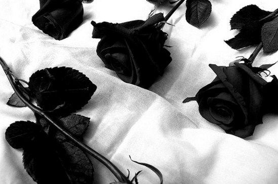 Imagenes de duelo con rosas negras