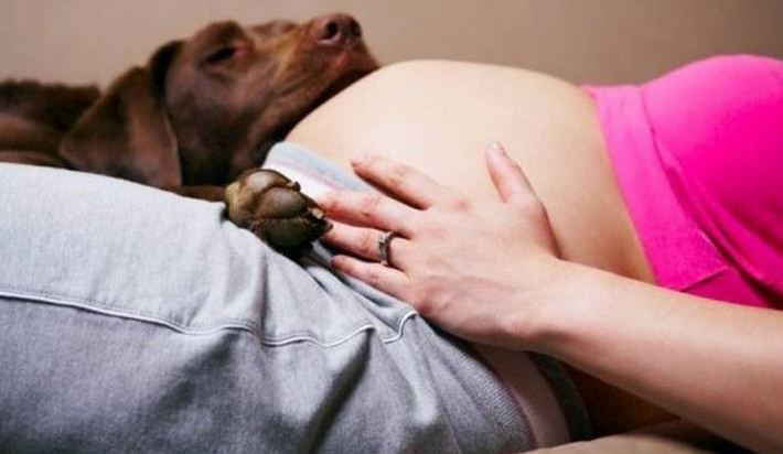 Imagenes de embarazadas con mascotas