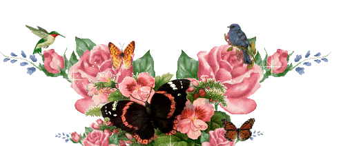 Imagenes de rosas con movimiento y mariposas