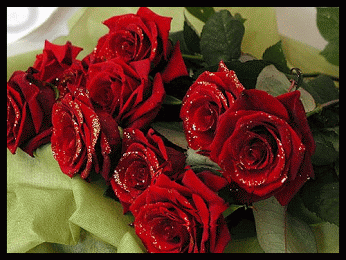 Imagenes de rosas rojas con movimiento