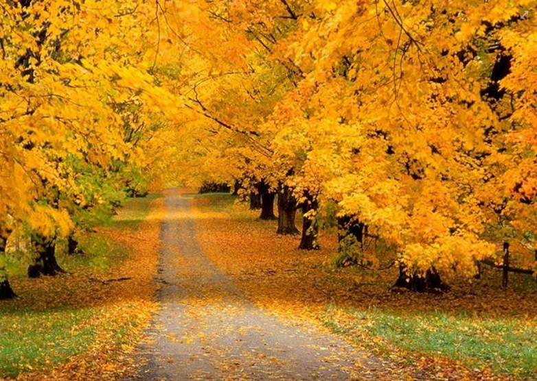 Postales de caminos en otoño