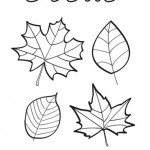 Dibujos para colorear de otoño